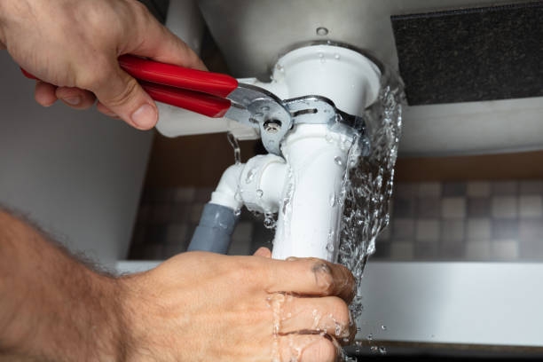Best Flooded house restoration  in Siena College, NY