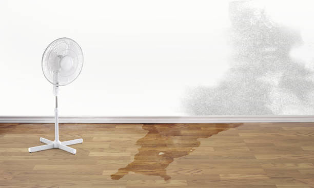 Best Water damage restoration cost  in Siena College, NY
