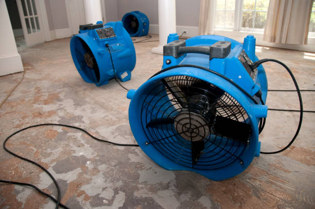 Best Sewage cleanup and water damage restoration  in Siena College, NY