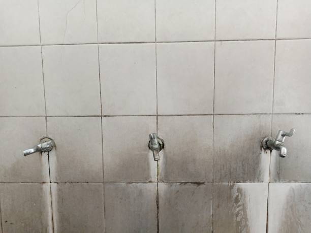 Best Water damage restoration specialists  in Siena College, NY