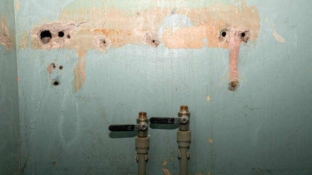 Best 24-hour water damage restoration  in Siena College, NY