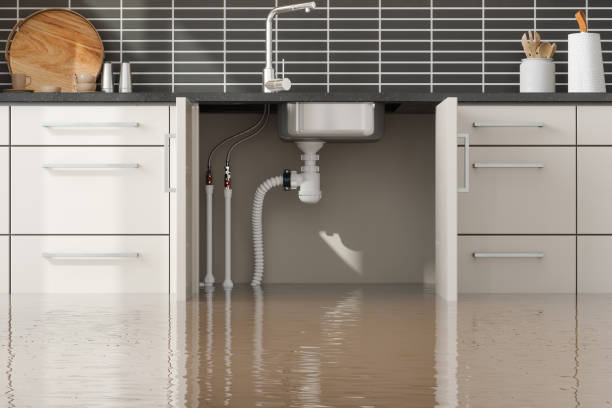 Best Basement water damage restoration  in Siena College, NY