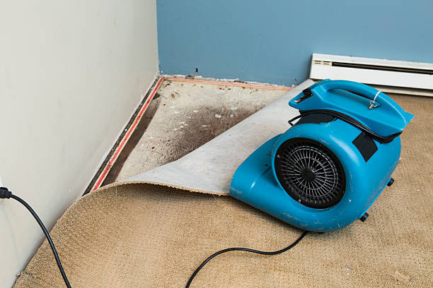 Best Water damage restoration experts  in Siena College, NY